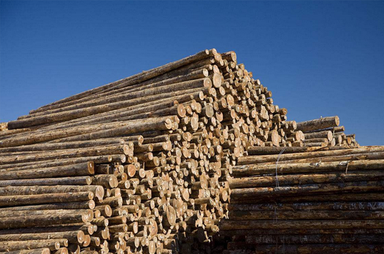 優秀的產品質量